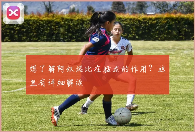 想了解阿奴诺比在猛龙的作用?这里有详细解读