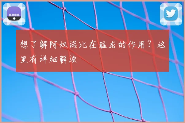 想了解阿奴诺比在猛龙的作用?这里有详细解读